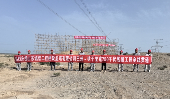 巴州～鐵干里克750千伏線路工程順利完成全線貫通